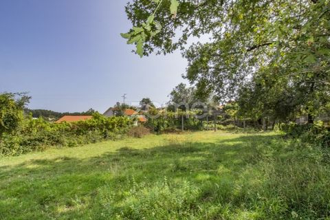 Villa a Serzedelo, Braga, Serzedelo - € 164.900 | Ref: ZMPT560461 - foto 13