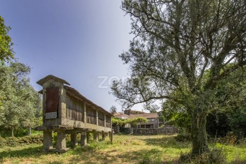 Villa i Serzedelo, Braga, Serzedelo - € 164.900 | Ref: ZMPT560461 - foto 7