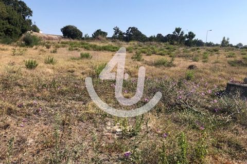 Helårsgrund i Santo Onofre e Serra do Bouro, Leiria, Santo Onofre e Serra do Bouro - € 430.000 | Ref: S4U132-V41 - foto 2