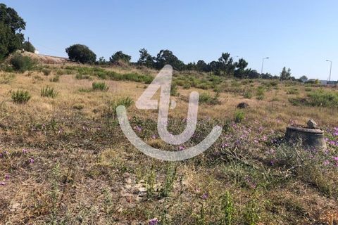 Helårsgrund i Santo Onofre e Serra do Bouro, Leiria, Santo Onofre e Serra do Bouro - € 430.000 | Ref: S4U132-V41 - foto 3