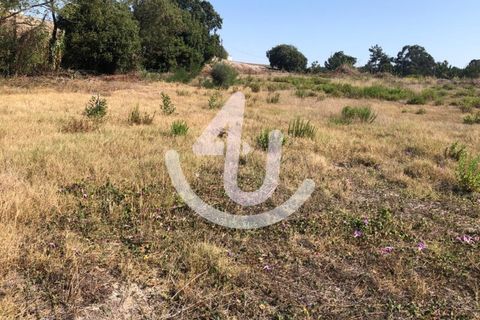 Helårsgrund i Santo Onofre e Serra do Bouro, Leiria, Santo Onofre e Serra do Bouro - € 430.000 | Ref: S4U132-V41 - foto 4
