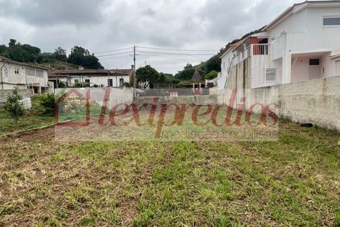 Helårsgrund i Agueda, Aveiro, Agueda - € 19.500 | Ref: AG 4026 - foto 4