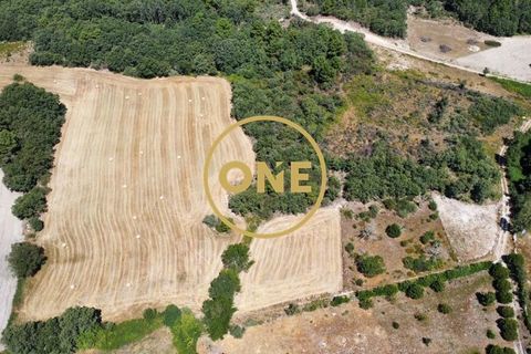 Helårsgrund i Chaves, Vila Real, Chaves - € 10.000 | Ref: ONE0031365-23 - foto 9