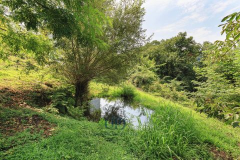 Villa i Dumenza, Varese, Dumenza - € 660.000 | Ref: 83034787 - foto 42
