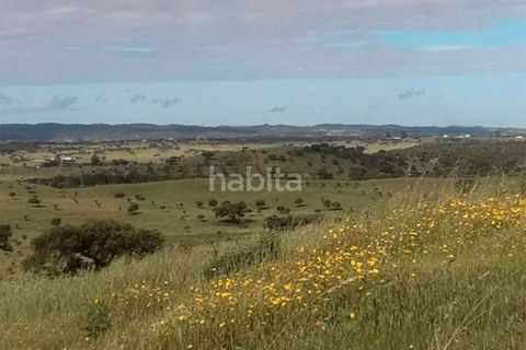 Farm i Ourique, Beja, Ourique - € 260.000 | Ref: MB082002 (2)_VC - foto 2