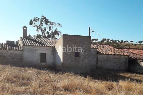 Farm i Ourique, Beja, Ourique - € 260.000 | Ref: MB082002 (2)_VC - foto 4