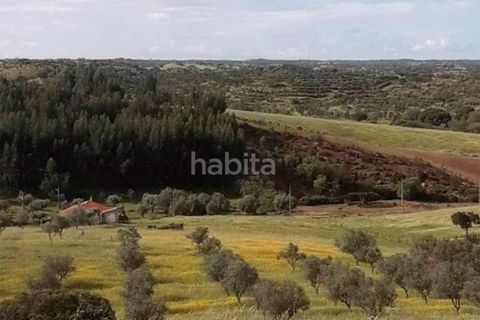 Farm i Ourique, Beja, Ourique - € 260.000 | Ref: MB082002 (2)_VC - foto 5