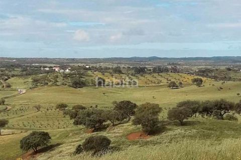 Farm i Ourique, Beja, Ourique - € 260.000 | Ref: MB082002 (2)_VC - foto 7
