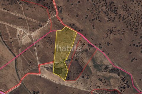 Farm i Ourique, Beja, Ourique - € 260.000 | Ref: MB082002 (2)_VC - foto 8