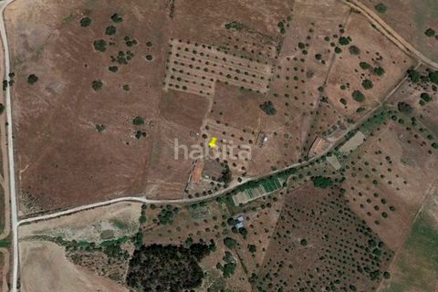 Farm i Ourique, Beja, Ourique - € 260.000 | Ref: MB082002 (2)_VC - foto 9