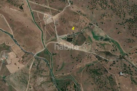 Farm i Ourique, Beja, Ourique - € 260.000 | Ref: MB082002 (2)_VC - foto 10