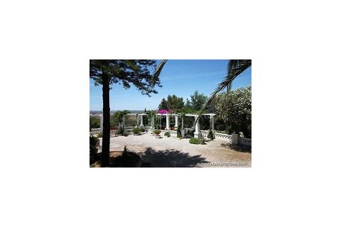 Farm i Ourique, Beja, Ourique - € 260.000 | Ref: MB082002 (2)_VC - foto 16