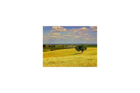 Farm i Ourique, Beja, Ourique - € 260.000 | Ref: MB082002 (2)_VC - foto 18