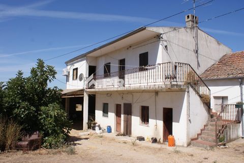 Farm i Castelo Branco, Castelo Branco, Castelo Branco - € 270.000 | Ref: PP4217 - foto 2
