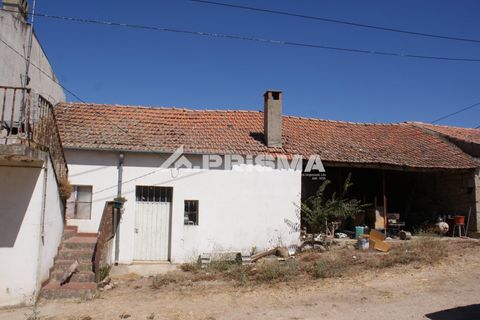 Farm i Castelo Branco, Castelo Branco, Castelo Branco - € 270.000 | Ref: PP4217 - foto 3