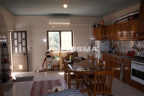 Farm i Castelo Branco, Castelo Branco, Castelo Branco - € 270.000 | Ref: PP4217 - foto 5