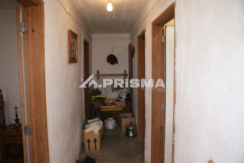 Farm i Castelo Branco, Castelo Branco, Castelo Branco - € 270.000 | Ref: PP4217 - foto 10