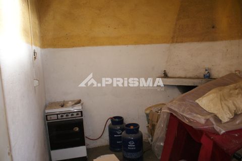Farm i Castelo Branco, Castelo Branco, Castelo Branco - € 270.000 | Ref: PP4217 - foto 12
