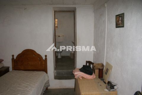 Farm i Castelo Branco, Castelo Branco, Castelo Branco - € 270.000 | Ref: PP4217 - foto 14