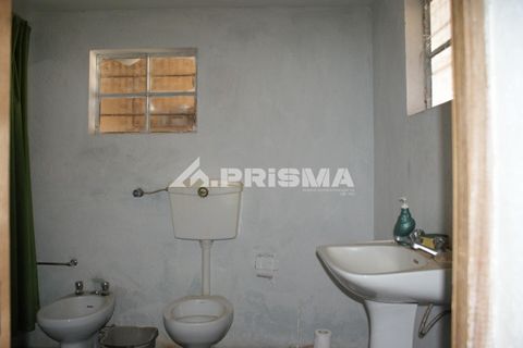 Farm i Castelo Branco, Castelo Branco, Castelo Branco - € 270.000 | Ref: PP4217 - foto 15