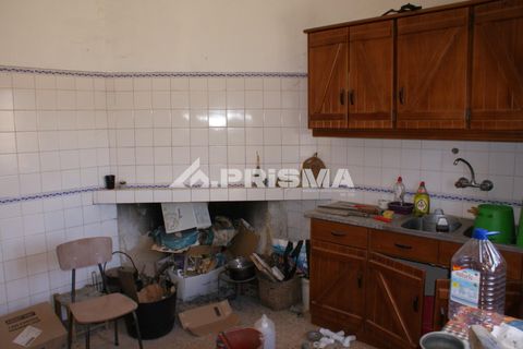 Farm i Castelo Branco, Castelo Branco, Castelo Branco - € 270.000 | Ref: PP4217 - foto 16