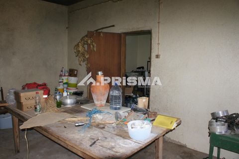 Farm i Castelo Branco, Castelo Branco, Castelo Branco - € 270.000 | Ref: PP4217 - foto 17
