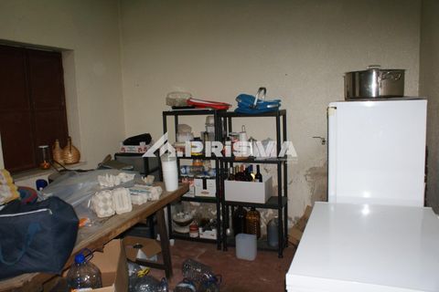 Farm i Castelo Branco, Castelo Branco, Castelo Branco - € 270.000 | Ref: PP4217 - foto 18