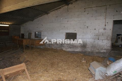 Farm i Castelo Branco, Castelo Branco, Castelo Branco - € 270.000 | Ref: PP4217 - foto 19