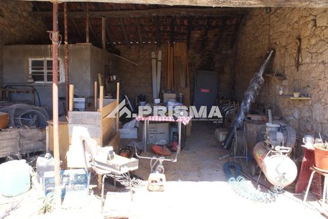 Farm i Castelo Branco, Castelo Branco, Castelo Branco - € 270.000 | Ref: PP4217 - foto 20