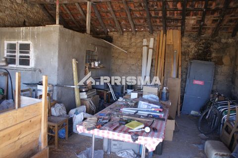 Farm i Castelo Branco, Castelo Branco, Castelo Branco - € 270.000 | Ref: PP4217 - foto 21
