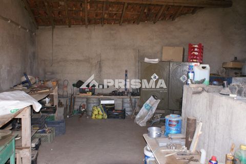 Farm i Castelo Branco, Castelo Branco, Castelo Branco - € 270.000 | Ref: PP4217 - foto 23