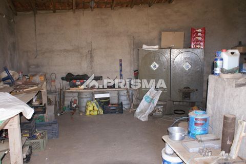 Farm i Castelo Branco, Castelo Branco, Castelo Branco - € 270.000 | Ref: PP4217 - foto 24