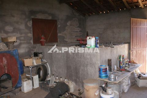 Farm i Castelo Branco, Castelo Branco, Castelo Branco - € 270.000 | Ref: PP4217 - foto 25