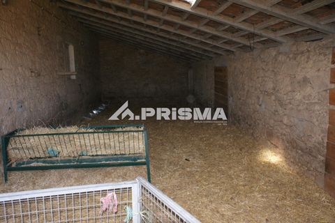 Farm i Castelo Branco, Castelo Branco, Castelo Branco - € 270.000 | Ref: PP4217 - foto 27
