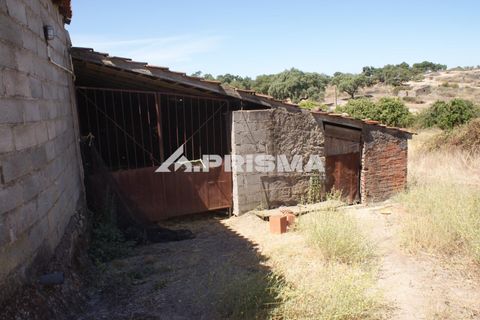 Farm i Castelo Branco, Castelo Branco, Castelo Branco - € 270.000 | Ref: PP4217 - foto 28