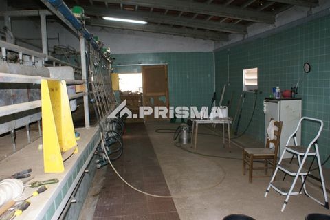 Farm i Castelo Branco, Castelo Branco, Castelo Branco - € 270.000 | Ref: PP4217 - foto 32
