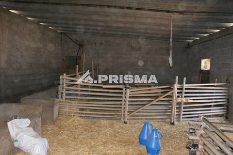 Farm i Castelo Branco, Castelo Branco, Castelo Branco - € 270.000 | Ref: PP4217 - foto 39