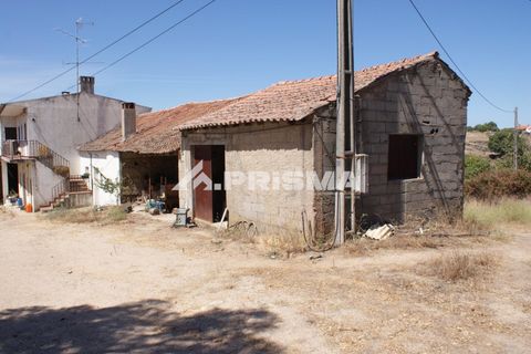 Farm i Castelo Branco, Castelo Branco, Castelo Branco - € 270.000 | Ref: PP4217 - foto 40