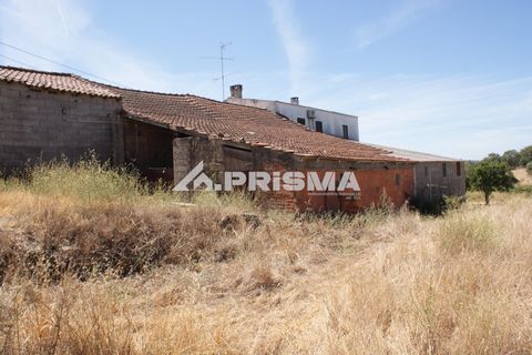 Farm i Castelo Branco, Castelo Branco, Castelo Branco - € 270.000 | Ref: PP4217 - foto 41