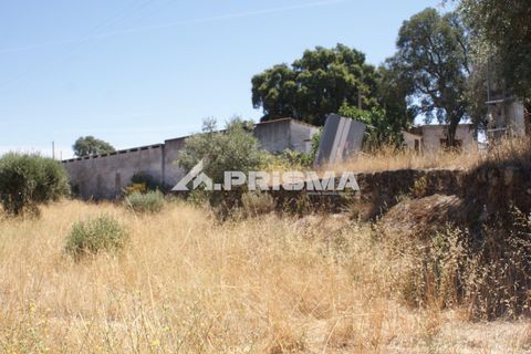 Farm i Castelo Branco, Castelo Branco, Castelo Branco - € 270.000 | Ref: PP4217 - foto 42