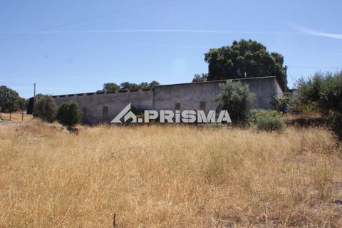 Farm i Castelo Branco, Castelo Branco, Castelo Branco - € 270.000 | Ref: PP4217 - foto 44