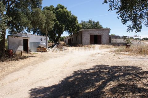 Farm i Castelo Branco, Castelo Branco, Castelo Branco - € 270.000 | Ref: PP4217 - foto 46