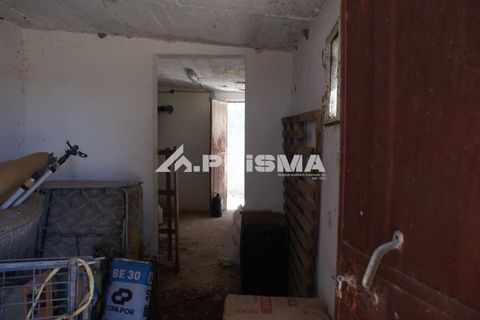 Farm i Castelo Branco, Castelo Branco, Castelo Branco - € 270.000 | Ref: PP4217 - foto 47