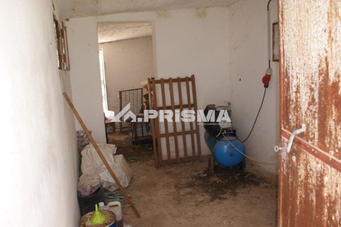 Farm i Castelo Branco, Castelo Branco, Castelo Branco - € 270.000 | Ref: PP4217 - foto 48