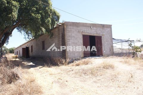 Farm i Castelo Branco, Castelo Branco, Castelo Branco - € 270.000 | Ref: PP4217 - foto 50