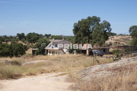 Farm i Castelo Branco, Castelo Branco, Castelo Branco - € 270.000 | Ref: PP4217 - foto 1