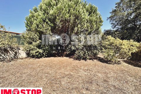 Helårsgrund i Aveiro, Aveiro, Aveiro - € 67.500 | Ref: 11805 - foto 9