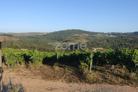 Helårsgrund i Penalva do Castelo, Viseu, Penalva do Castelo - € 15.500 | Ref: ZMPT560489 - foto 2