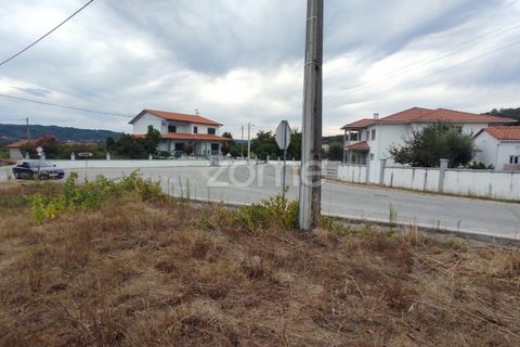 Helårsgrund i Penalva do Castelo, Viseu, Penalva do Castelo - € 15.500 | Ref: ZMPT560489 - foto 17