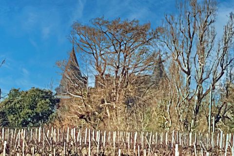 Villa a Sauternes, Gironde, Sauternes - € 1.281.000 | Ref: 83247918 - foto 33